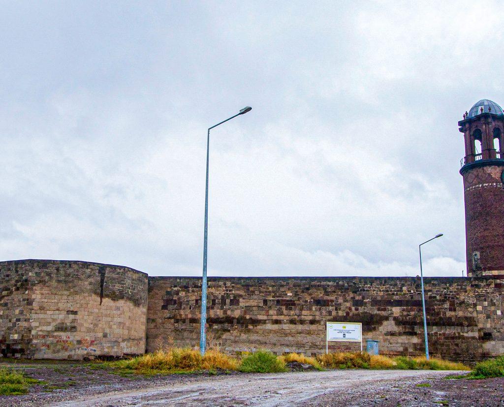 Erzurum DHI Saç Ekimi
