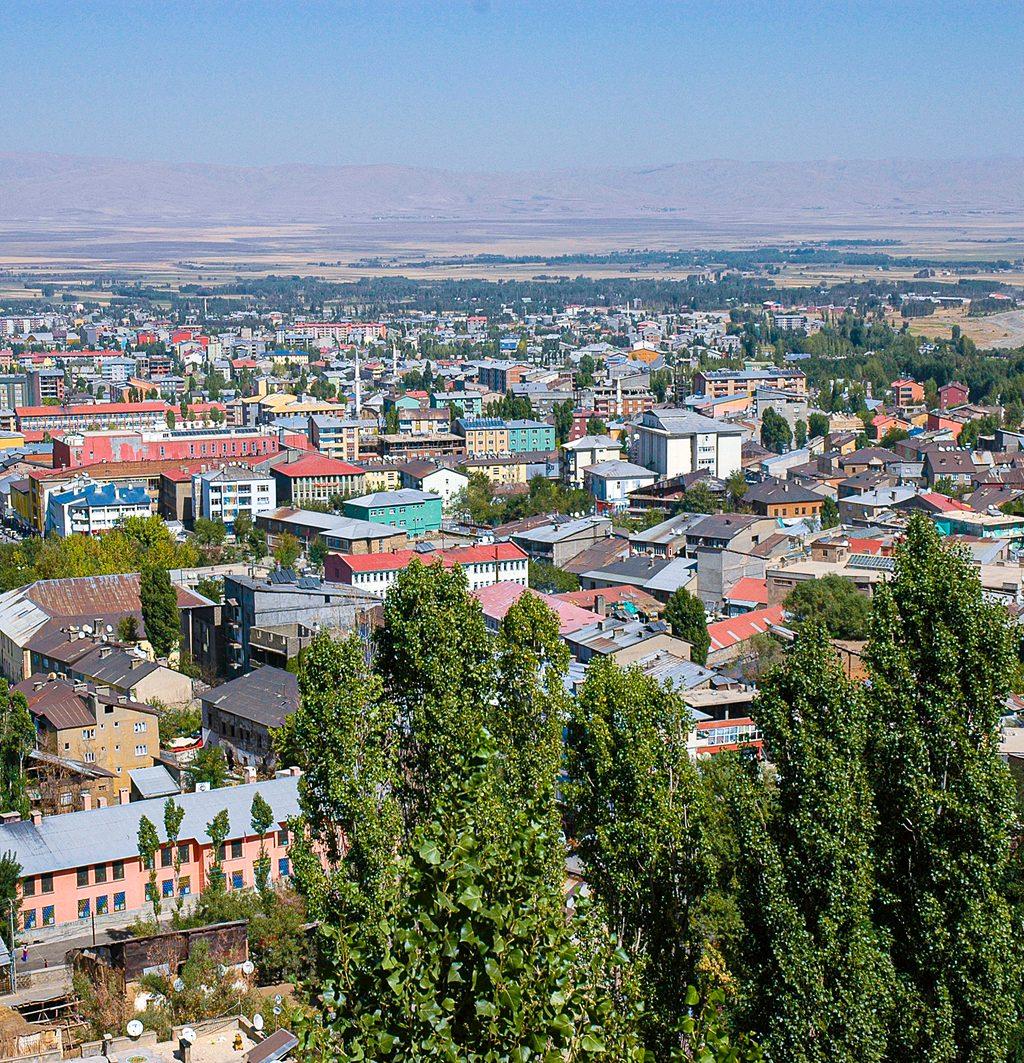 Muş