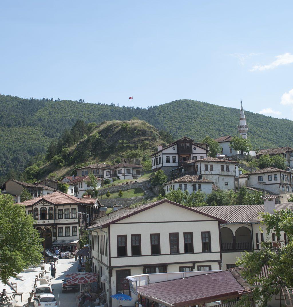 Sakarya DHI Saç Ekimi