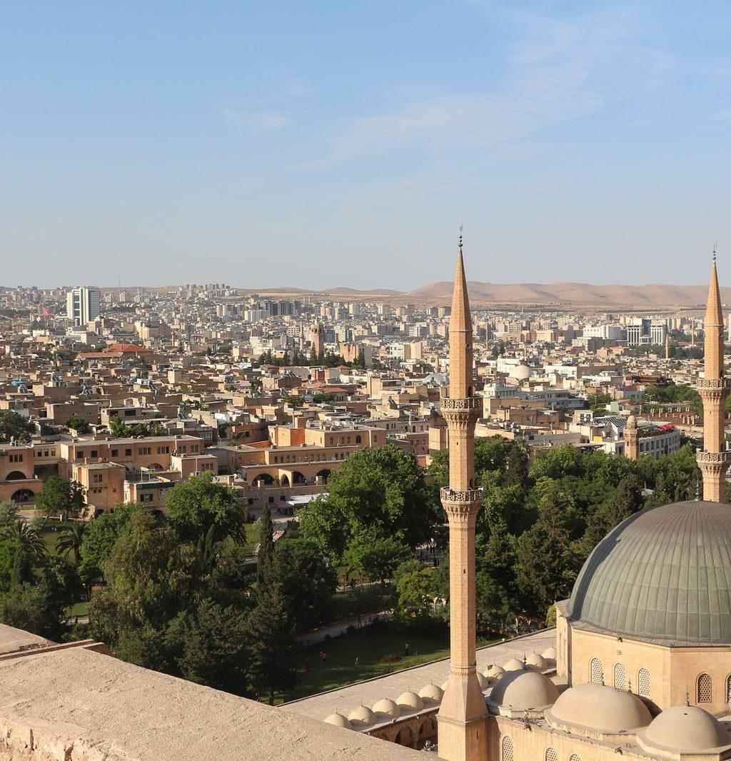 Şanlıurfa DHI Saç Ekimi