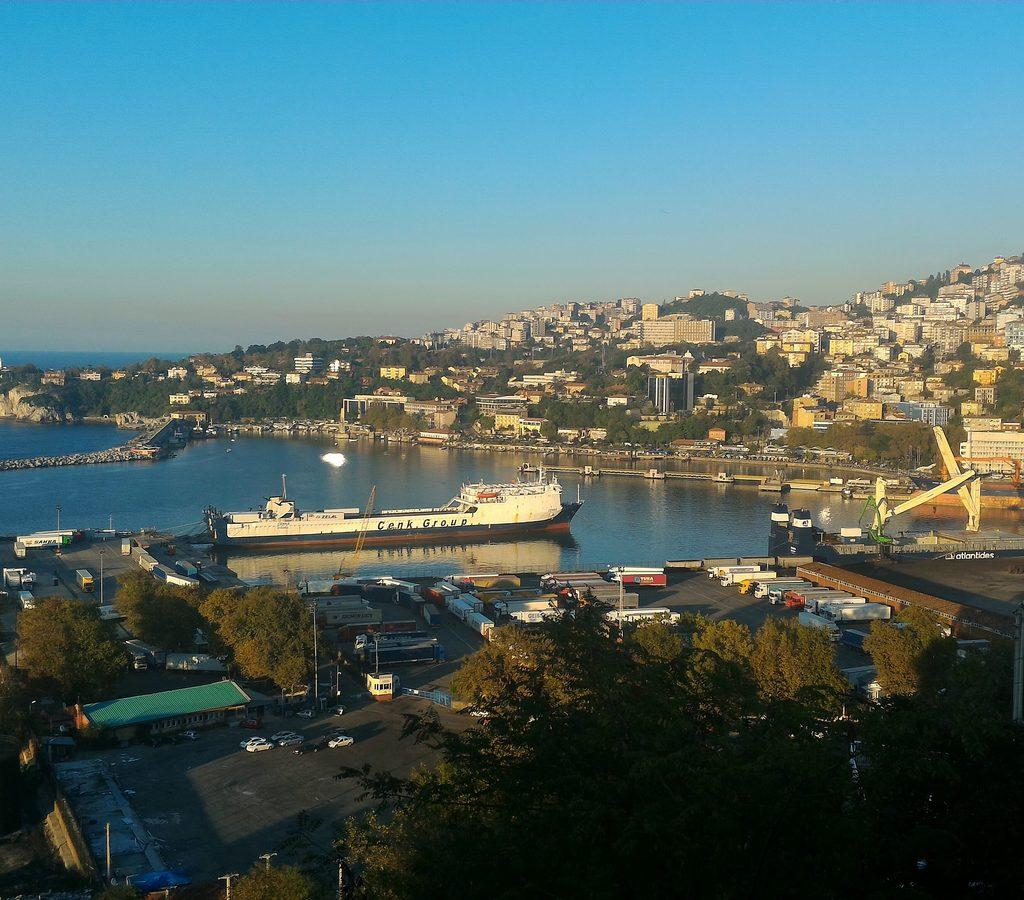 Zonguldak DHI Saç Ekimi